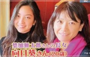 葉加瀬太郎　高田万由子　娘　彼氏　名前　顔画像　結婚