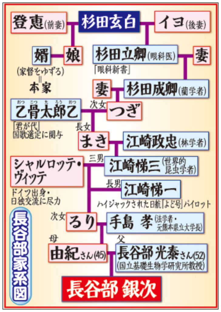 長谷部銀次　家系図　両親　名前　職業　兄　野球