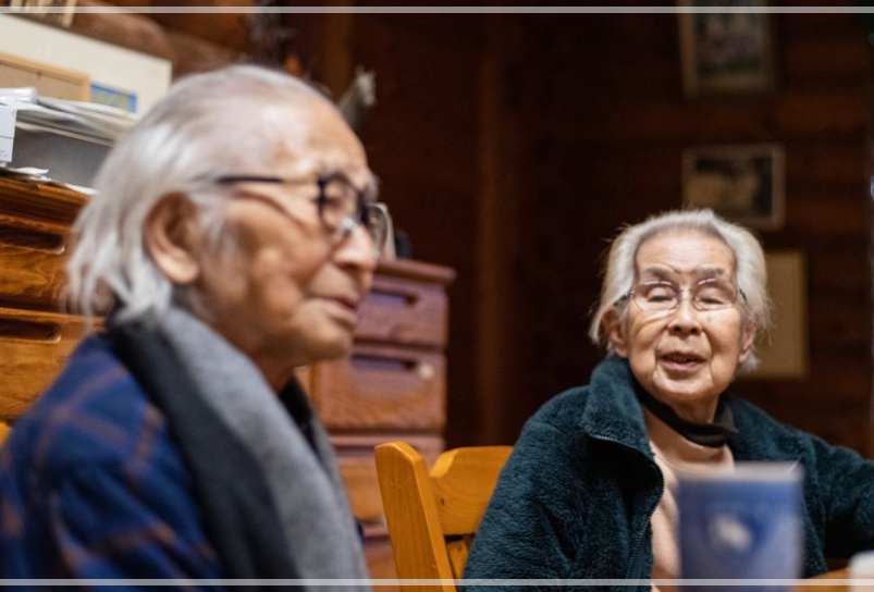 畑正憲　妻　純子　馴れ初め　若い頃　画像　職業