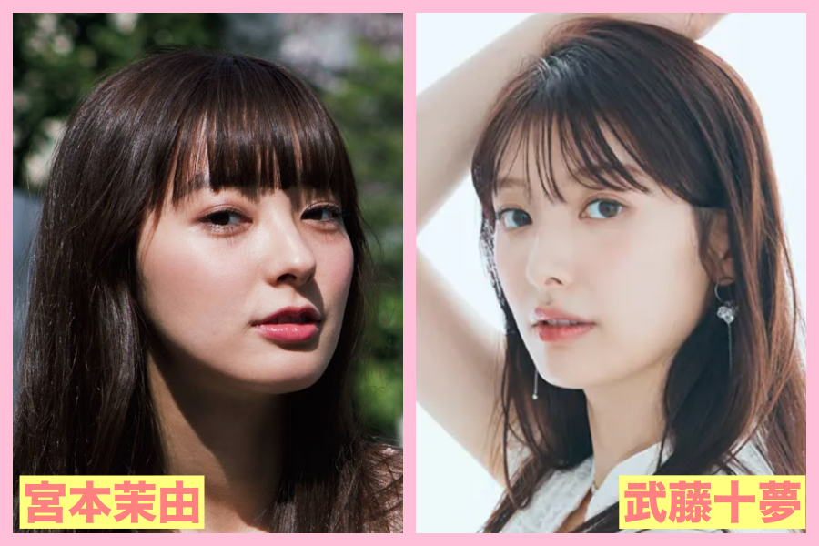 宮本茉由　似てる　芸能人　菜々緒　女優　アナウンサー